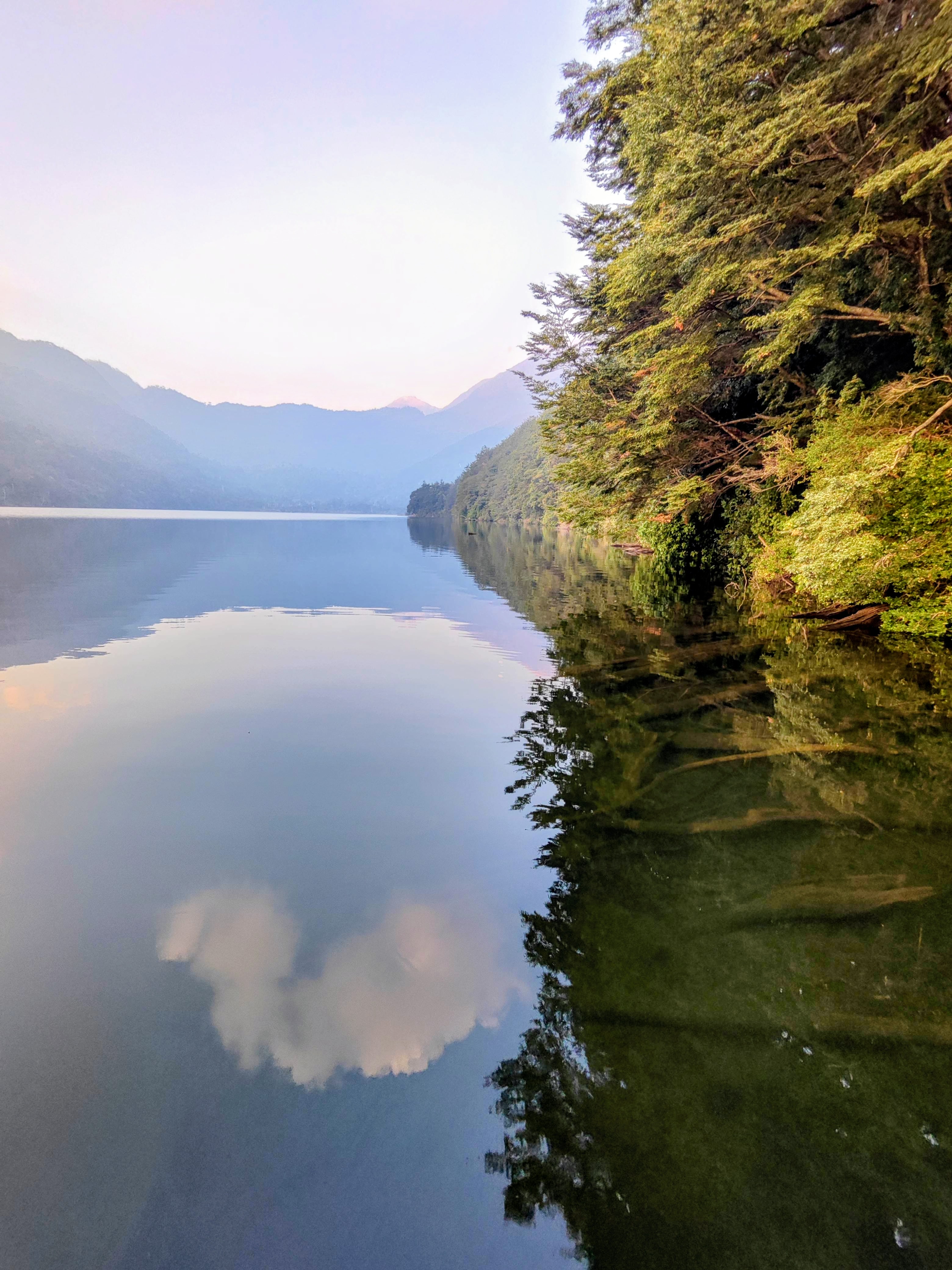 Lago Tinquilco al atardecer con cielo rosado y árboles reflejados en el agua quieta